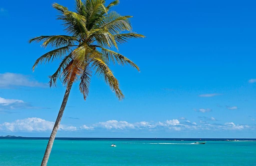 BaillifKeshy Island Colibri公寓 外观 照片